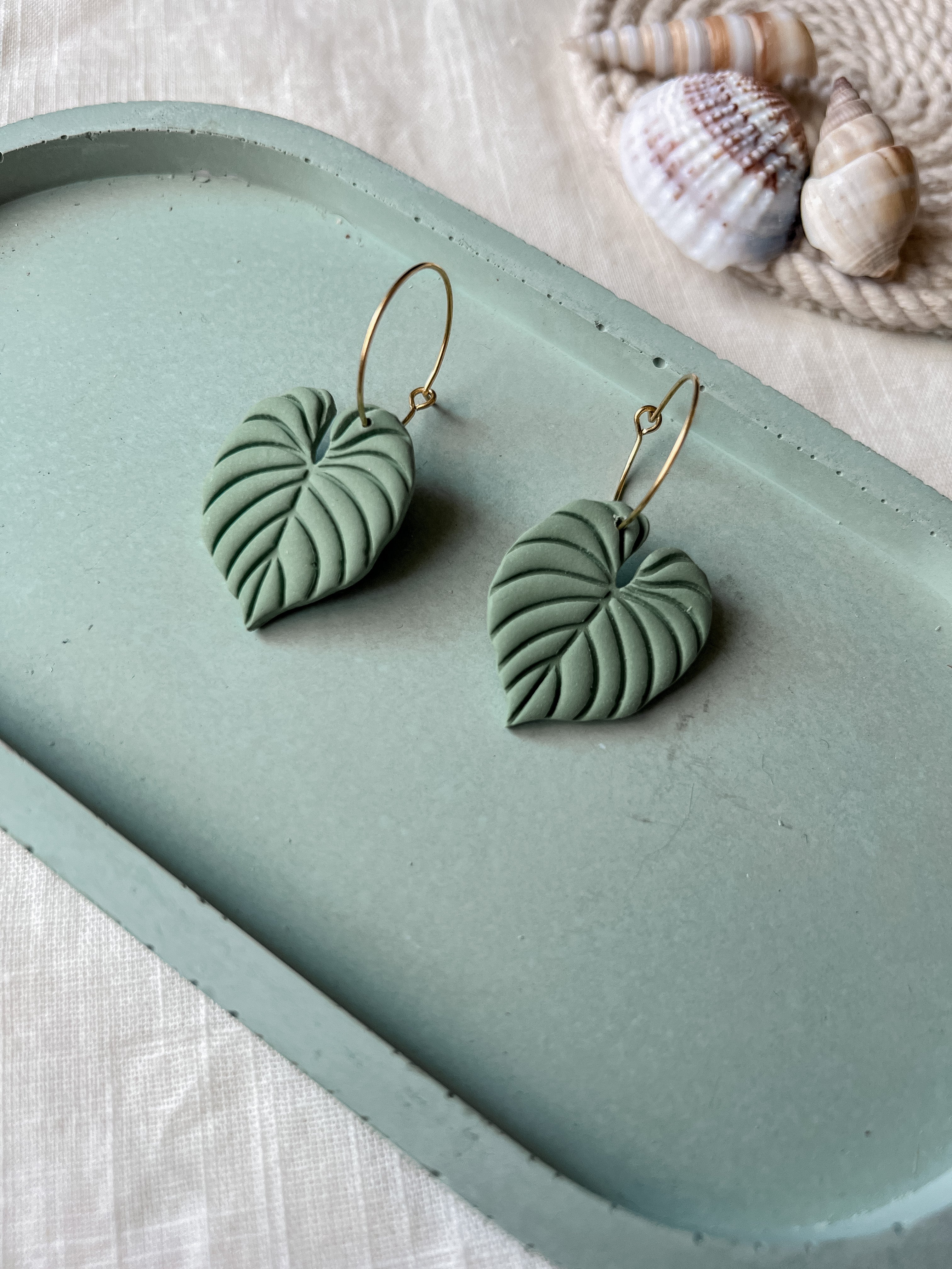 Philodendron Hoops