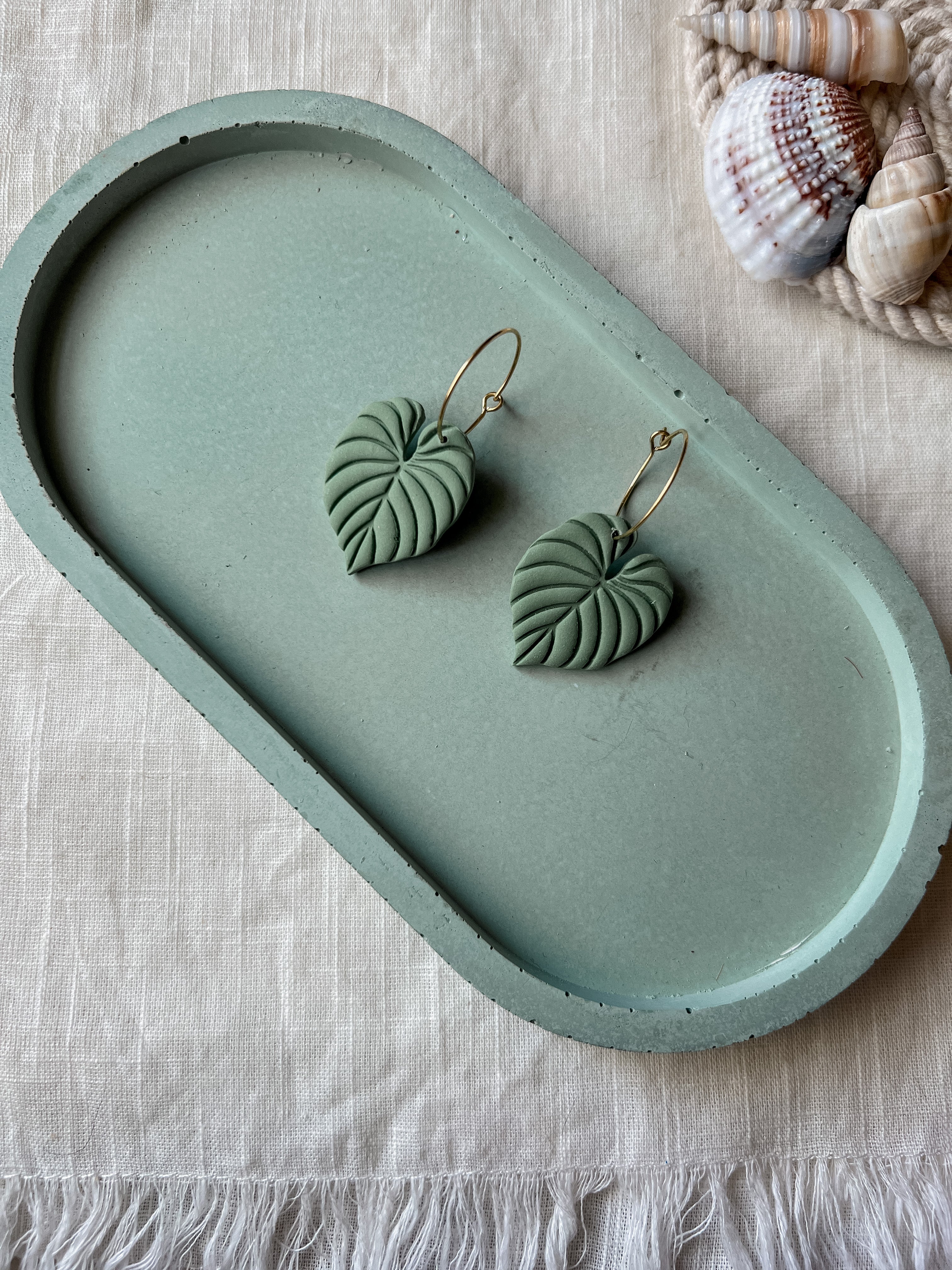 Philodendron Hoops